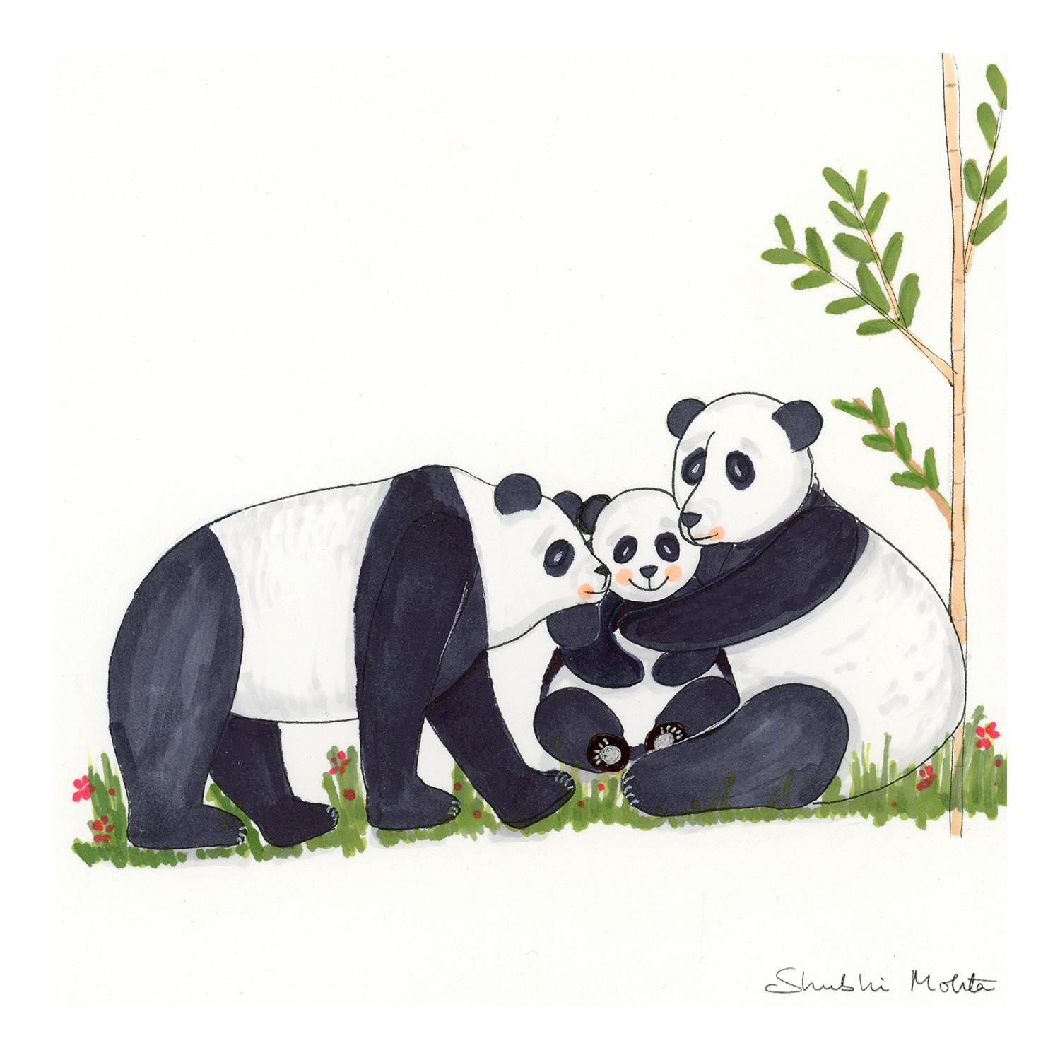 Wildly Soft - A Nursery Collection